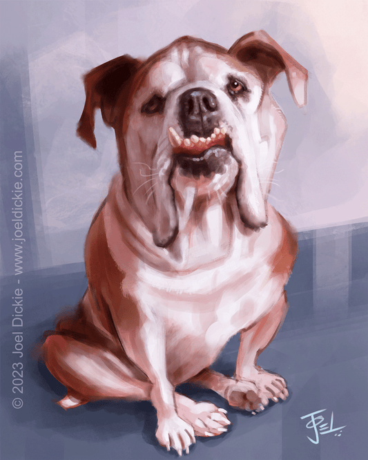 Caricatura de mascotas